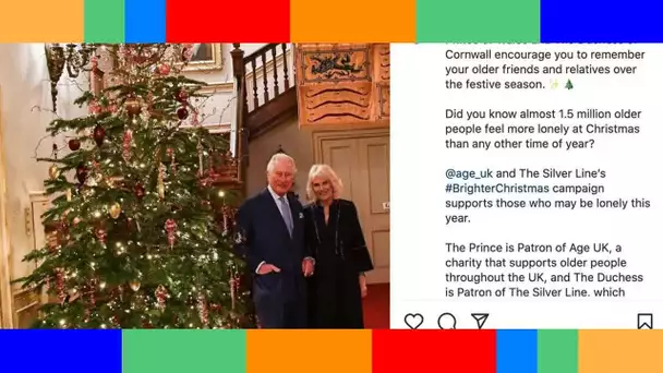 Le prince Charles et Camilla Parker Bowles plus complices que jamais sur ce cliché de Noël anti soli