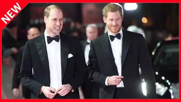 ✅  Harry et William dans l'oeil du cyclone pour « conflits d'intérêts » : que risquent-ils ?