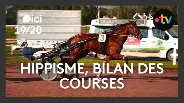 Sarthe / Hippisme: bilan des courses