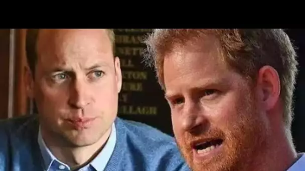 William et Harry "n'ont besoin que d'un instant" pour mettre fin à la que.relle mais "beaucoup de te