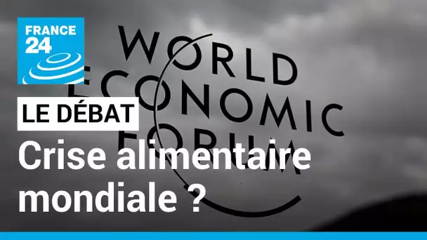 LE DÉBAT - Vers une crise alimentaire mondiale ? La guerre en Ukraine au cœur de Davos