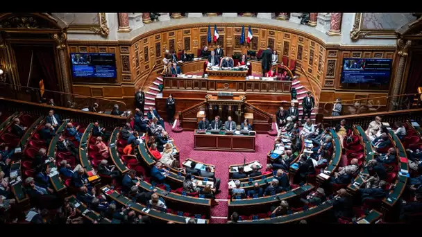 Antisémitisme : une mission du Sénat publie une liste de recommandations pour la rentrée