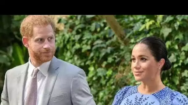 Le prince Harry et Meghan sont «tous en train de parler et pas d'action» alors que la duchesse n'a