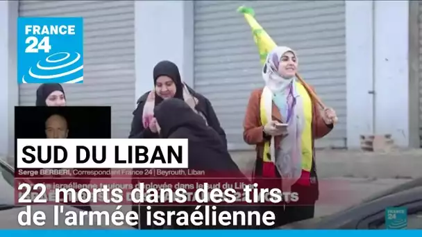 Sud du Liban : 22 morts dans des tirs de l'armée israélienne (bilan du ministère de la Santé)