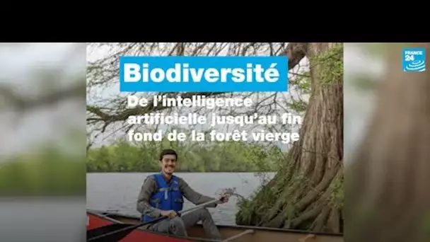 Biodiversité : de l’intelligence artificielle jusqu’au fin fond de la forêt vierge