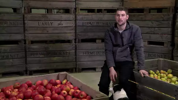 Témoignage : Victor Léglantier, agriculteur à Saulgé dans la Vienne