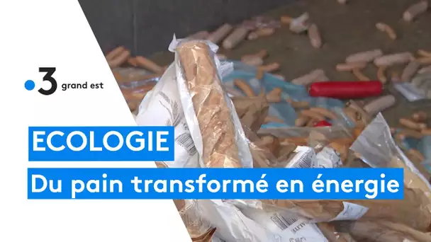 Écologie : du pain transformé en énergie