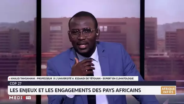 COP27 : les enjeux et engagements des pays africains. Eclairage Khalid Tamsamani