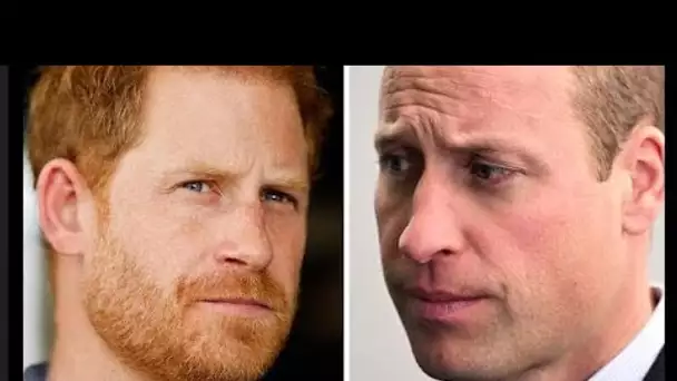 Le prince William "ne versera pas de larmes" suite à l'absence de Harry à Noël