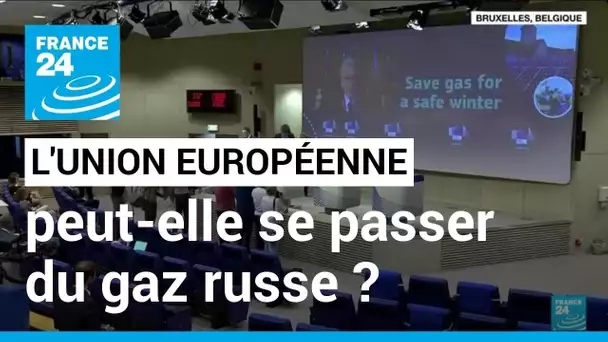 L'UE peut-elle se passer du gaz russe ? L'Europe se prépare au pire • FRANCE 24