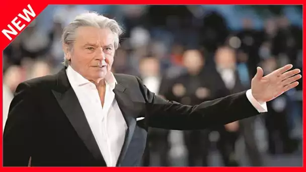 ✅  PHOTO – Alain Delon : le bel hommage de la mère de ses enfants pour la Saint-Valentin