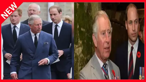 ✅  William et Charles auraient orchestré la sortie de Harry ? Des voix soutiennent cette thèse