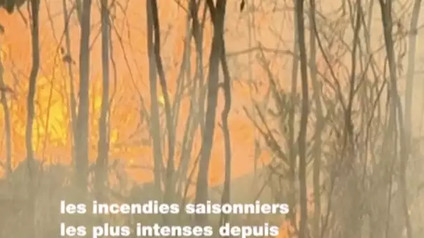 Australie:  vague de chaleur attise les incendies dans le sud-est du pays • FRANCE 24