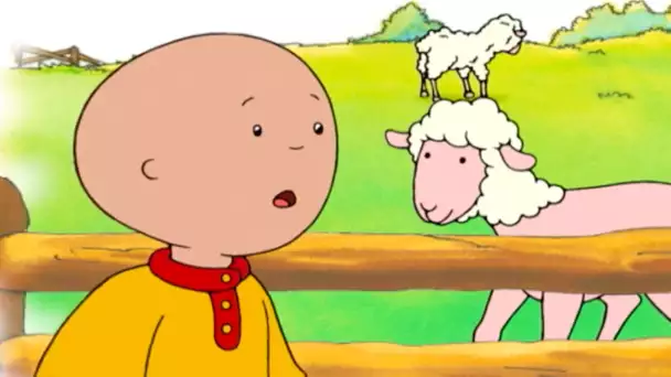 Caillou et la Tonte des Moutons | Caillou en Français