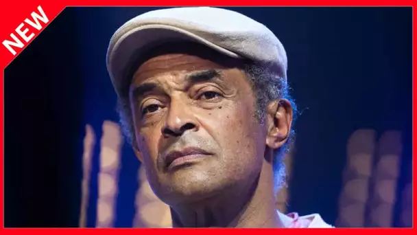 ✅  Yannick Noah en deuil : son ancien coach est mort