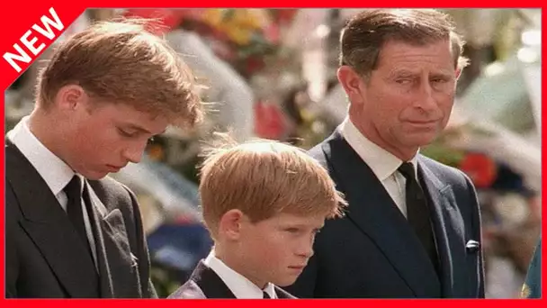 ✅  Harry et William prêts à revivre côte à côte un terrible moment bien trop familier…