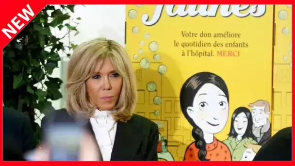 ✅  Brigitte Macron et Vianney à Disneyland : une complicité qui ne se dément pas