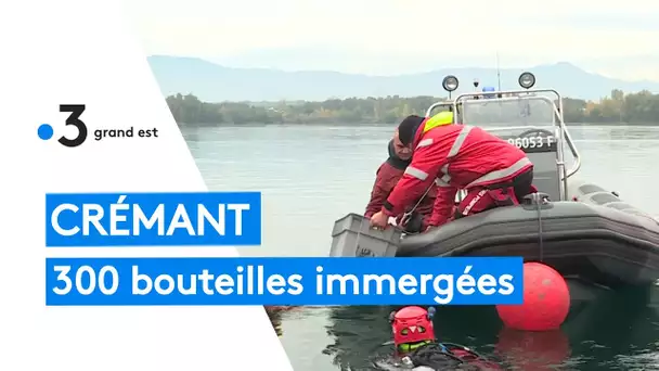 Colmar : ils plongent des bouteilles de crémant dans l'eau pour les goûter dans dix ans