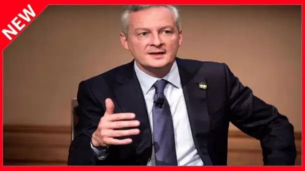 ✅  « Assez violent », « en incapacité de bouger » : Bruno Le Maire et sa dure expérience de la Covid