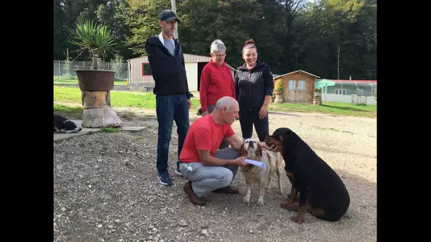 Gray : le refuge pour chiens et chat reçoit une aide de l'Etat