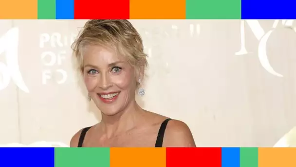 Sharon Stone opérée d'une tumeur : les médecins se sont-ils trompés sur le diagnostic ?