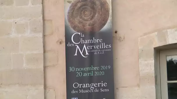 Les Musées de Sens présentent la " Chambre des Merveilles "