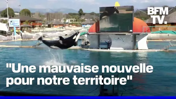 Marineland projette une fermeture définitive à compter du 5 janvier 2025