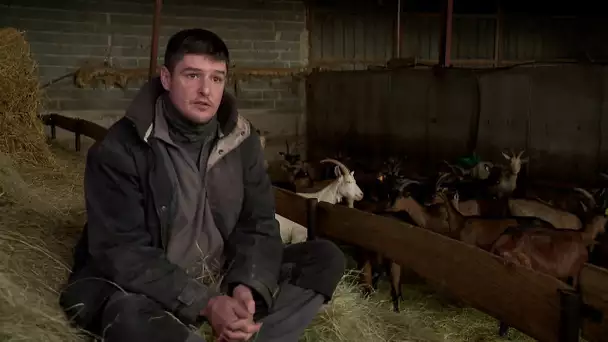 Parole d'agriculteur : Quentin Sigonneau à Glénouze dans la Vienne