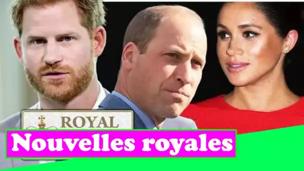 Famille royale EN DIRECT: les fans de Meghan Markle se retournent furieusement contre le prince Will