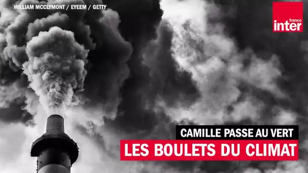 Les boulets du climat - Camille passe au vert