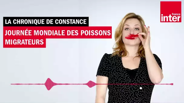 Journée mondiale des poissons migrateurs - La chronique de Constance