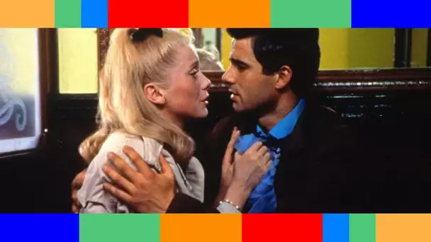 ✟  Nino Castelnuovo : l'acteur qui jouait le chéri de Catherine Deneuve dans Les Parapluies de Cherb