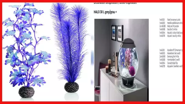 biOrb 46080.0 Kelp Set Medium Purple Aquariums