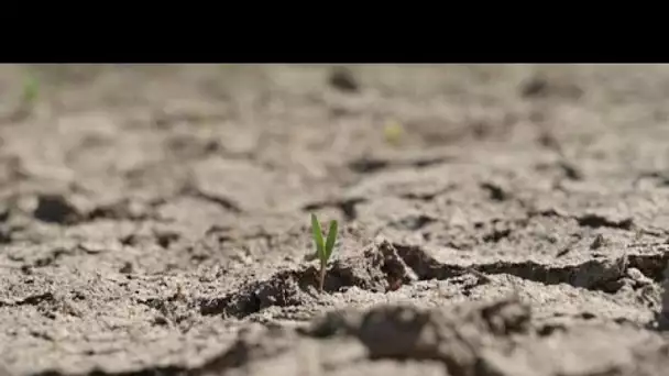 France : inquiétude des agriculteurs face aux sécheresses plus fréquentes