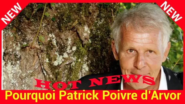 Pourquoi Patrick Poivre d’Arvor a refusé deux fois d’être ministre