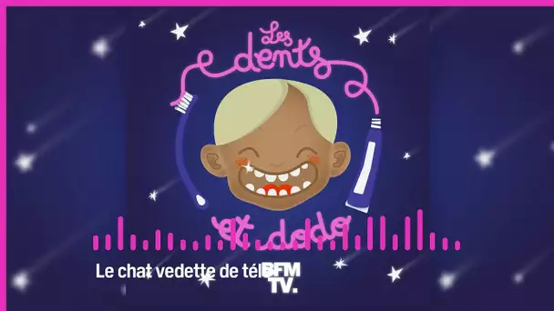 Les dents et dodo - “Le chat vedette de télé"