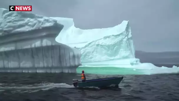 Chasse aux icebergs : la ruée vers l’or blanc