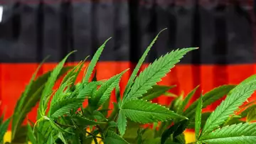 L'Allemagne va légaliser la vente de cannabis et vise un marché à 5 milliards d'euros !