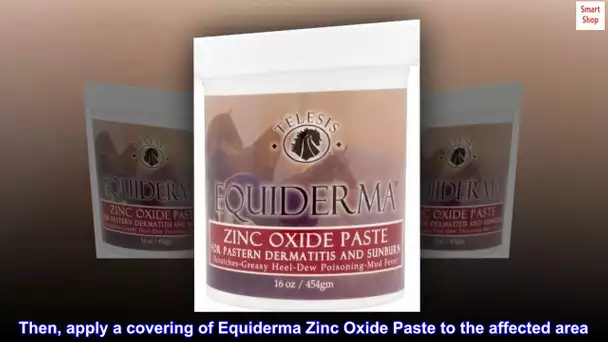 EQUIDERMA Zinc Paste