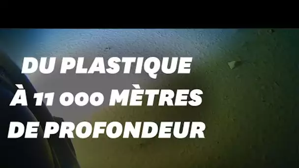 En battant le record de plongée sous-marine, il découvre du plastique