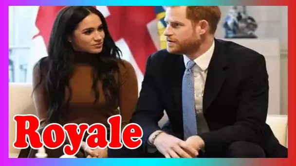 Le prince Harry reviendra probablement s@ns Meghan - ''doit rester à bord avec Queen''