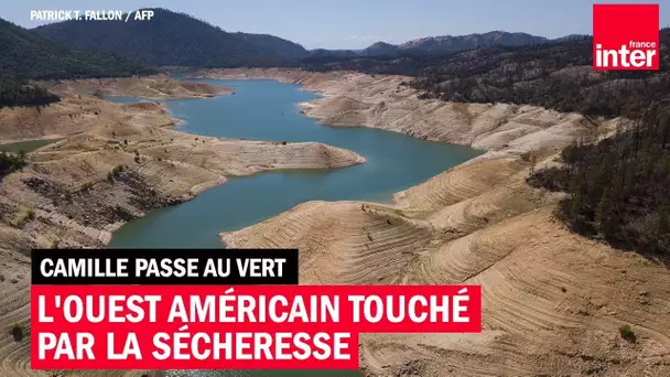 L'ouest américain touché par la sécheresse - Camille Passe au Vert