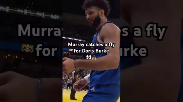 Jamal Murray catches a fly & gives it to Doris Burke! 🏆🤣|#Shorts