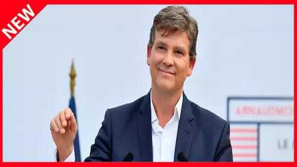 ✅  Arnaud Montebourg : en attendant la présidentielle, il vend des glaces