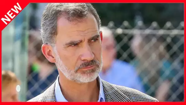 ✅  Felipe VI dans la tourmente : la monarchie espagnole plus fragilisée que jamais