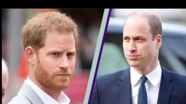 Une interview découverte révèle que Harry a déclaré que son frère William l'avait persuadé de suivre