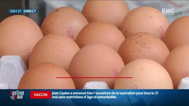 Les Français consomment de plus en plus d'œufs !