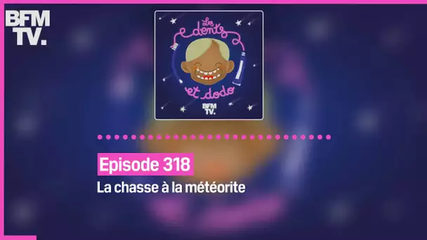 Episode 318 : La chasse à la météorite - Les dents et dodo