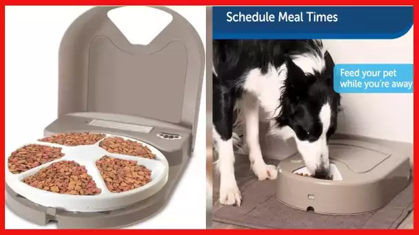 PetSafe 5 Meal Dog Food Dispenser - Storage for Up to 5 Cups of Kibble or Treats of Any Size - Tray