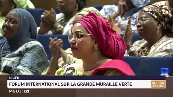 Niger : Forum international sur la grande muraille verte